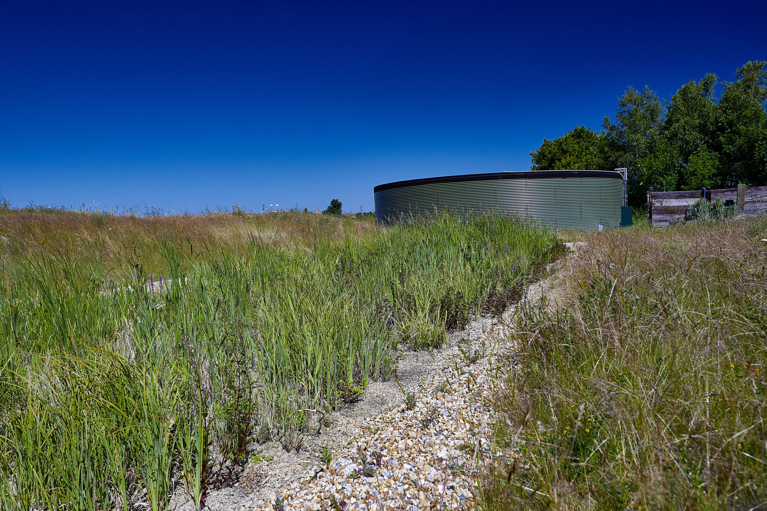 Want to turn waste water into something wonderful? Create a wetland. Or three.